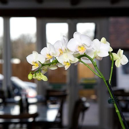 The Maple Manor Hotel Crawley  Zewnętrze zdjęcie